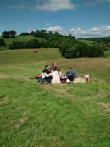 picnic in June 2017